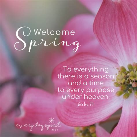 Spring Wishes of Hope & Encouragement