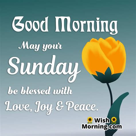 Sunny & Relaxed Greetings