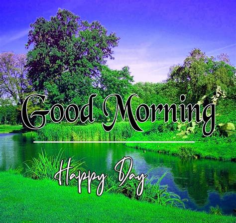 Sunny & Serene Wishes