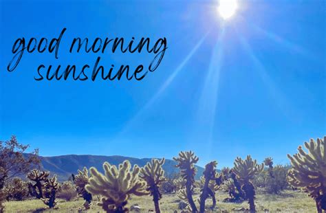 Sunshine Starters: Simple & Sweet Morning Messages