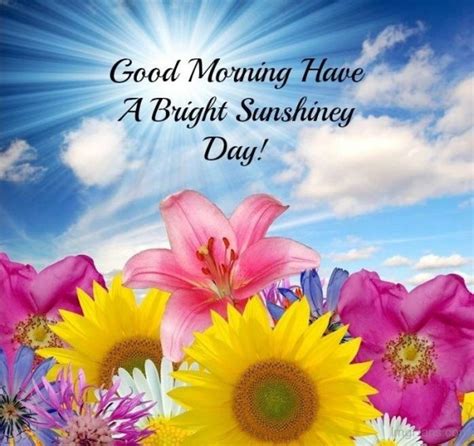 Sunshine & Support: Uplifting Wishes for a Bright Day Ahead