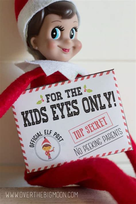Super-Secret Elf Intelligence (For Parent's Eyes Only!)