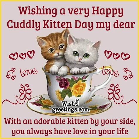 Sweet & Cuddly Wishes from the Heart