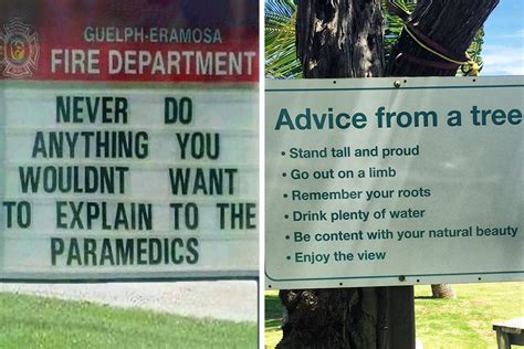 Terrible Life Advice You Didn't Ask For