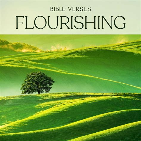 The 7 Foundational Wishes for a Flourishing Life