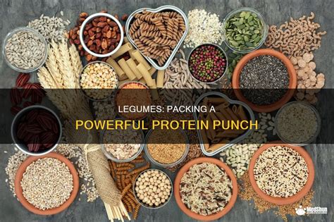 The "A Powerful Protein Punch" Wish