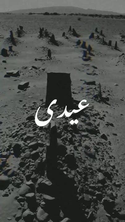 The Ache of Their Absence