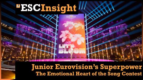 The Chorus: The Emotional Heart of the Song