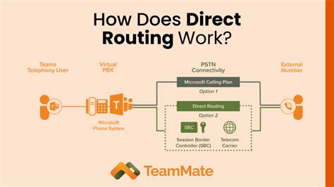 The Direct Route: Using Amazon's Official Search