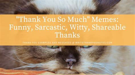 The Funny & Witty Thank You