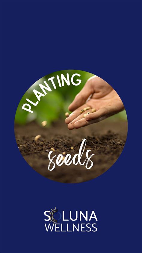 The Gardener's Patience: Nurturing Your Wish with Daily Actions