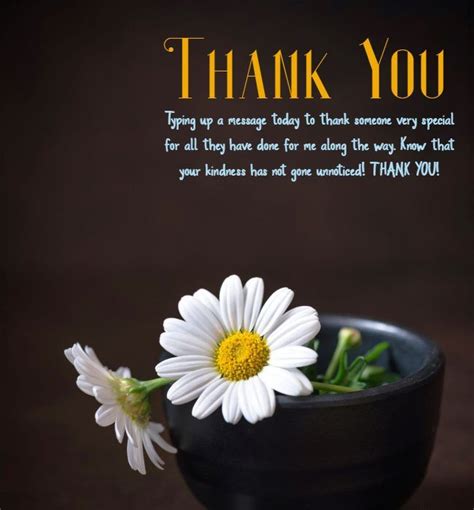 The Gratitude Gallery (For Saying a Proper Thank You)