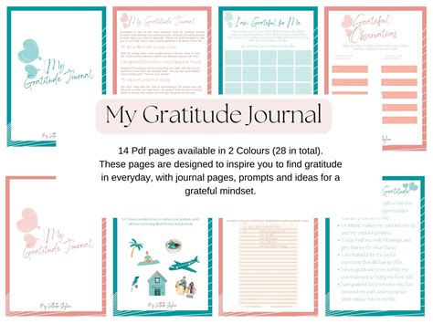The Gratitude Journal