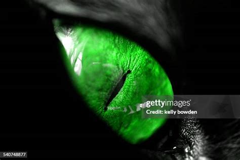 The Green-Eyed Monster: Signs of Intense Envy