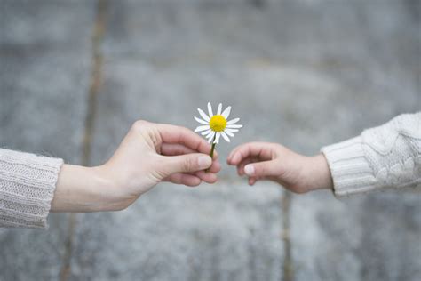 The Guardian Dende Mandate: Selfless Wishes for the Good of the Planet