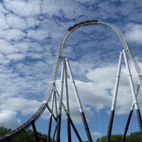 The Heart's Other Work: Navigating the Emotional Rollercoaster