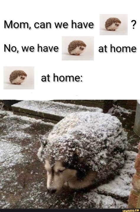 The "Mom, We Have It at Home" Treatment