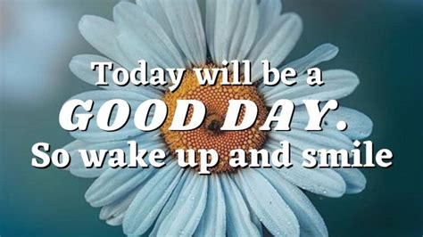 The Morning Spark: Wishes to Kickstart Their Day