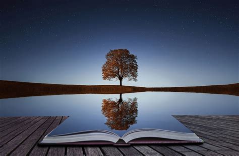The Nature of the Wish: Reflections on Purpose & Creation