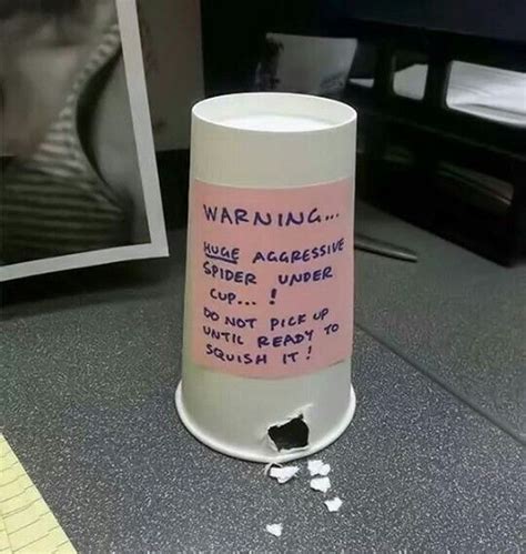 The Safe Chuckle: Lighthearted & Office-Appropriate Humor