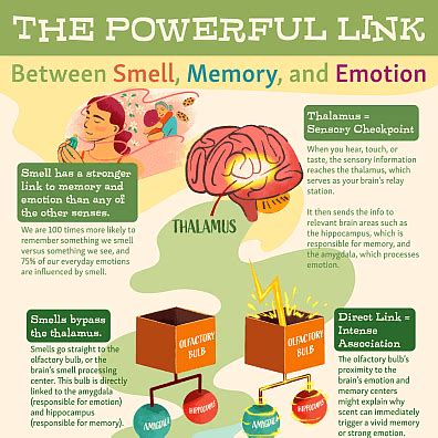 The Scent of Your Memory