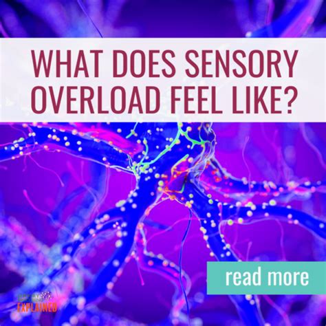 The Sensory Overload Factor: When a Simple Touch Feels Like a Thousand Alarms