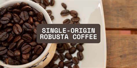 The Single-Origin Specials: Brewed with a Specific Memory