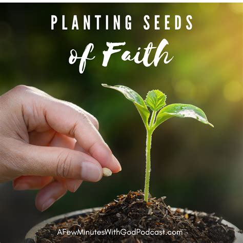 The Spark of Belief: Planting the Seed of Your Wish