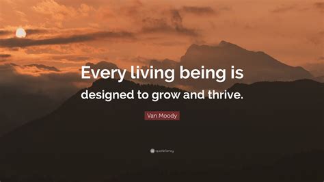 The Thirties Thrive: Inspirational Messages for a New Chapter