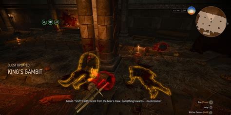 The Witcher's Gambit: Wishes for Simple Survival