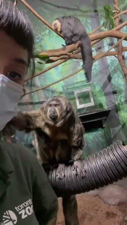 They’re Not Visitors, They’re Zookeepers
