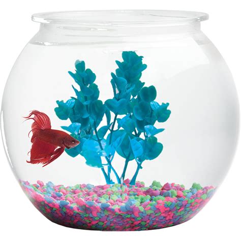 To My Partner, My Anchor in the "Fish Bowl"