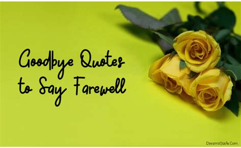 To Say a Gentle Goodbye