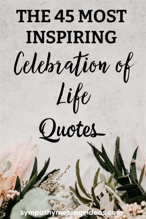 Toasting a Life Well-Lived: Messages Celebrating Experience