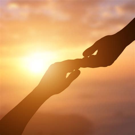 Twinkling Hopes for Love & Connection: Shared Journeys