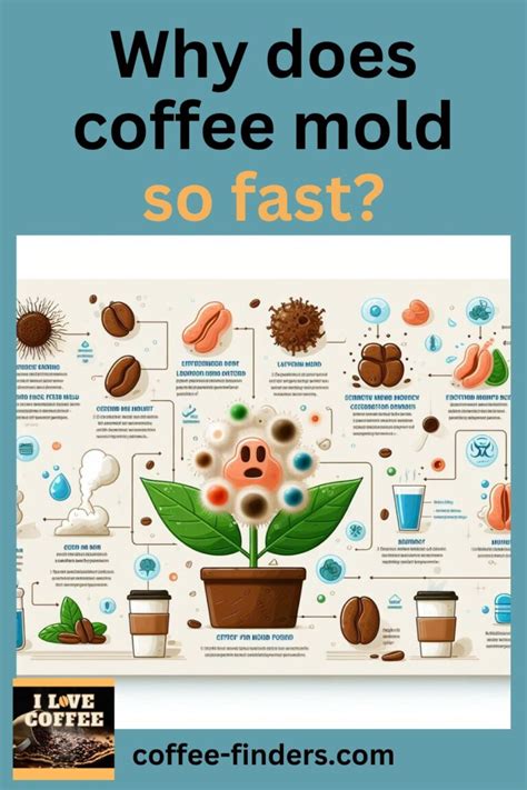 Understanding the Concern: Why Coffee & Mold Are Even a Topic