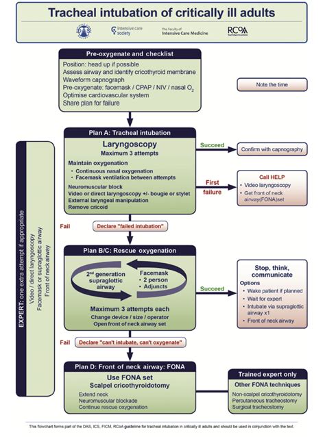 Understanding the Medical Guideline: What "Critically Ill" Means