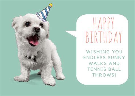 Unleash the Fun! Birthday Wishes for the Ultimate Dog Lover