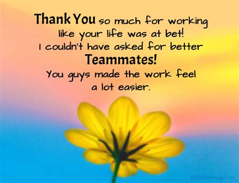 Warm & Appreciative: For a Truly Great Teammate