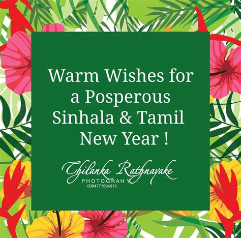 Warm Wishes in English with a Touch of Tamil
