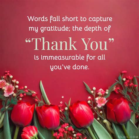 When Words Fall Short: Heartfelt 'I Wish You Would' Expressions for Every Lingering Hope