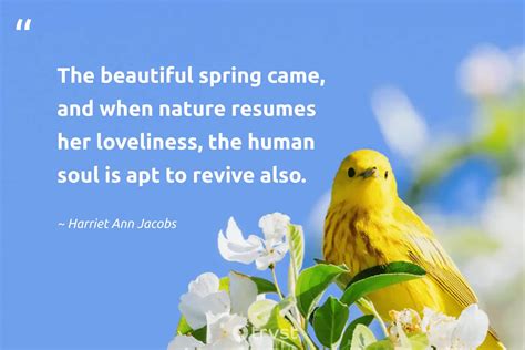 When You're Planting New Roots: Wishes for New Beginnings