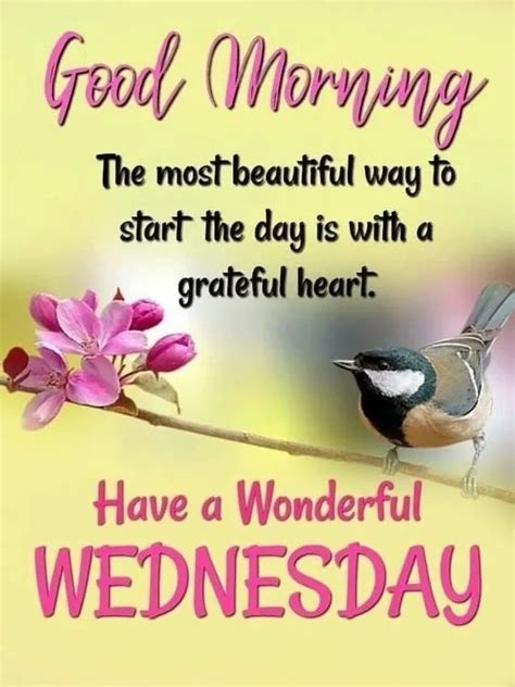 Whimsical Wednesday Morning Greetings