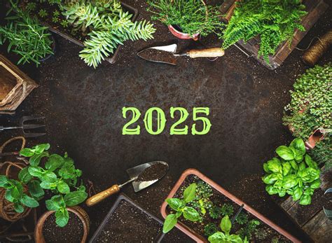 Whimsical Wishes for the Avid Gardener