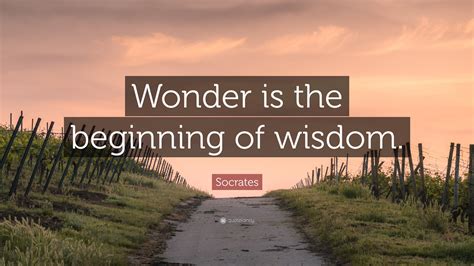 Wisdom & Wonder: Inspirational Messages for the Next Chapter