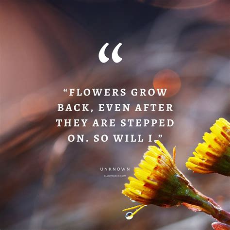 Wishes About Blooming and Personal Growth