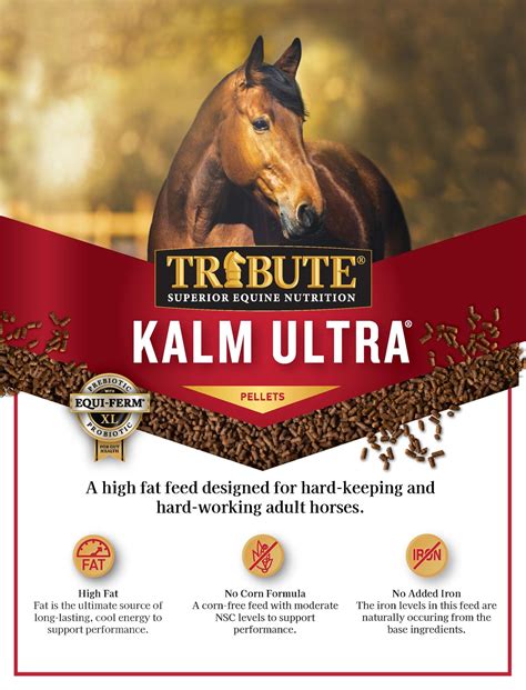 Wishes as Rich and Fulfilling as High-Fat Horse Feed