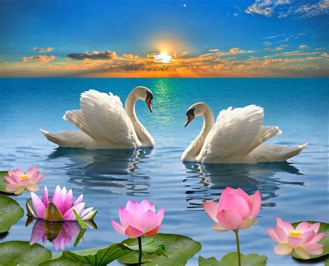 Wishes Celebrating Transformation and New Beginnings