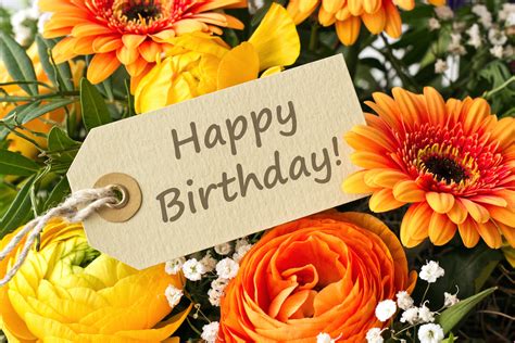 Wishes for a Birthday Bloom