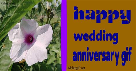 Wishes for a Joyful Milestone